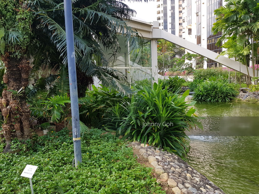 Bayshore Park (D16), Condominium #198465062